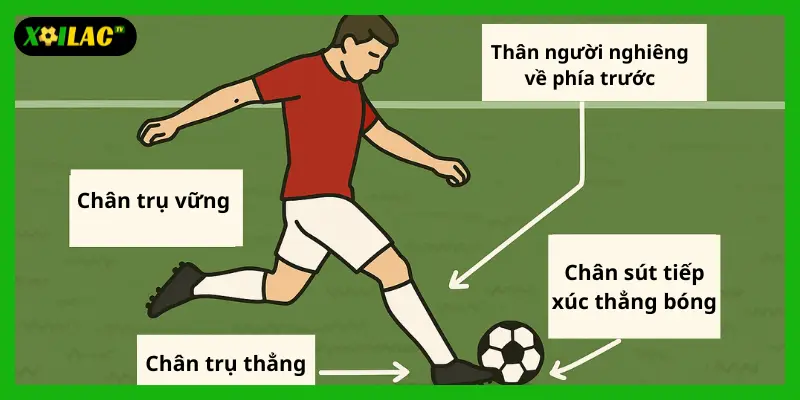 Khoảnh khắc sút lòng đẹp mắt trong trận trực tiếp bóng đá