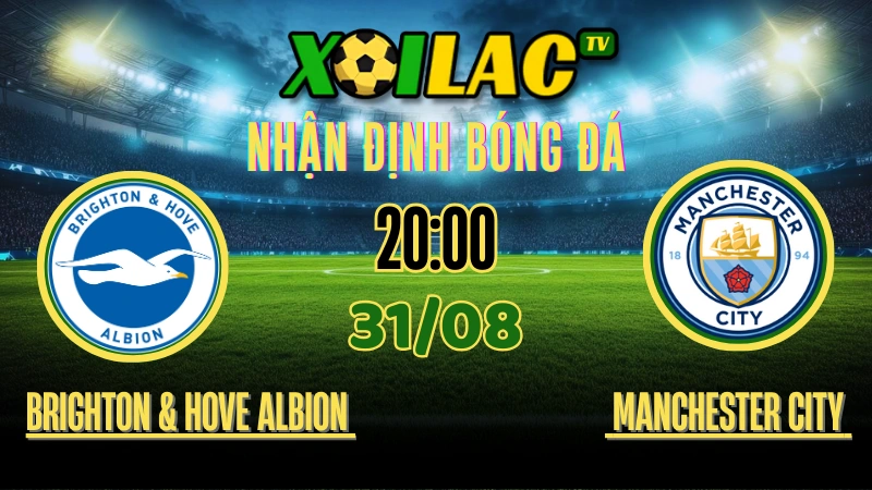 Nhận Định Brighton & Hove Albion vs Manchester City – 20:00 Ngày 31/08/2025 | Ngoại Hạng Anh Vòng 4
